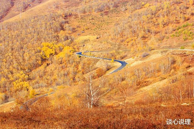 吉星|11月好运不断的四大星座，吉星庇护，飞黄腾达，来喜又来财