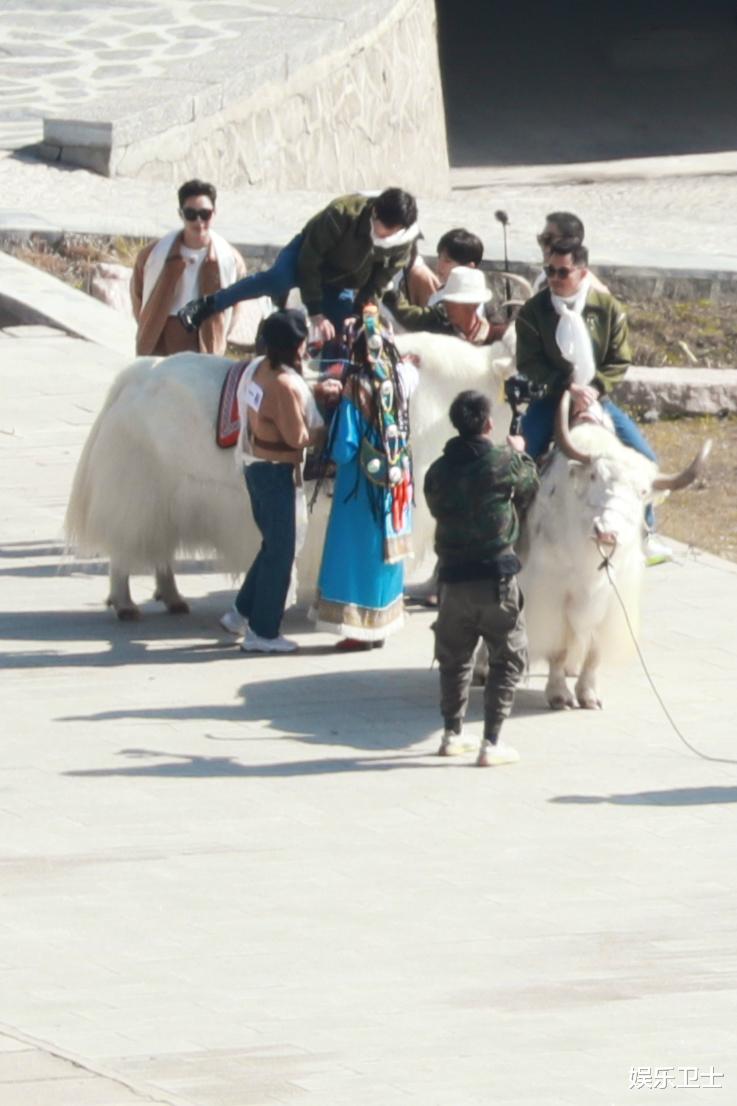 蔡徐坤|奔跑吧青海路透，蔡徐坤骑牦牛，成毅似心情不佳，郑恺遗憾缺席原因曝光