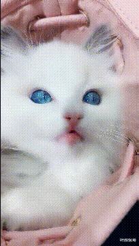 汉江|“在冰冷的水中发现这样的生物，这是啥玩意？”哈哈哈是不是在汉江钓鱼