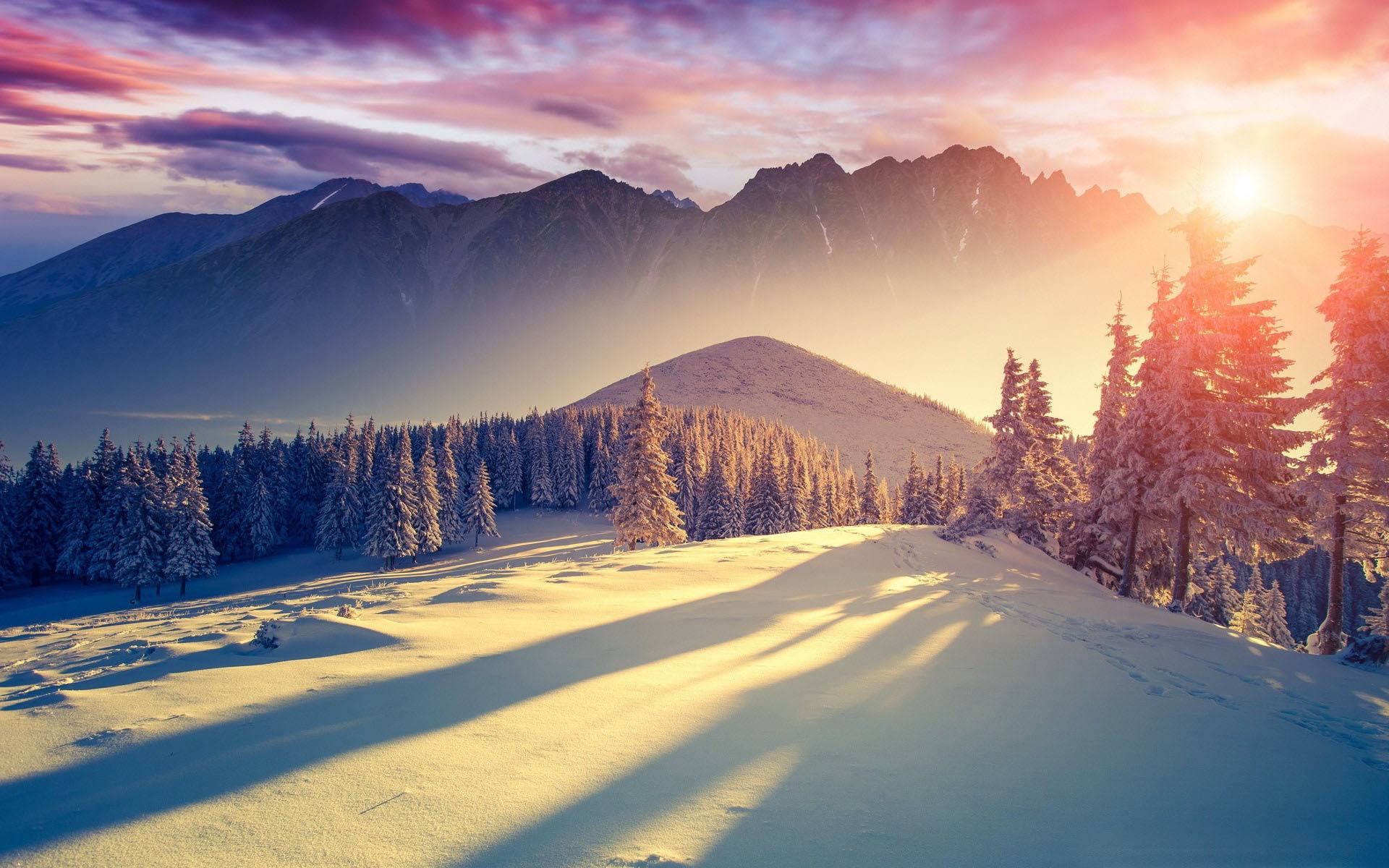 金牛座|八月份生肖运势出炉，这几个生肖注意了，你的桃花运离你不远了