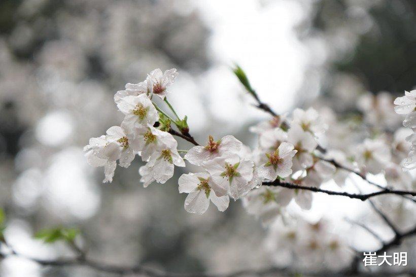 运势|7月开始财富大利，运势上升，事业得心应手，福运亨通的四大生肖