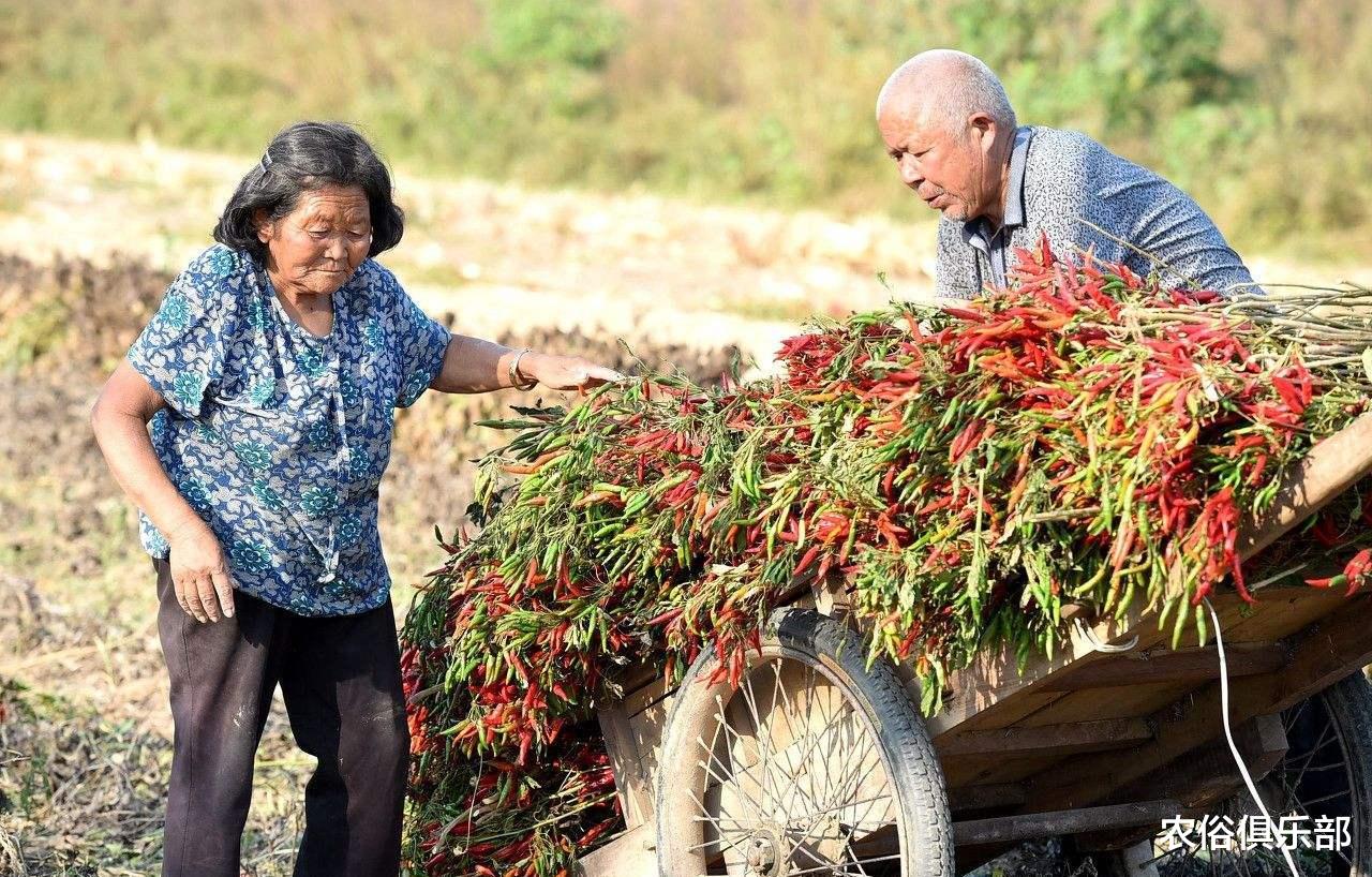 「商品房」农俗说：人老两年坎，暗九大关口！为何农村老人都担心73和84岁？