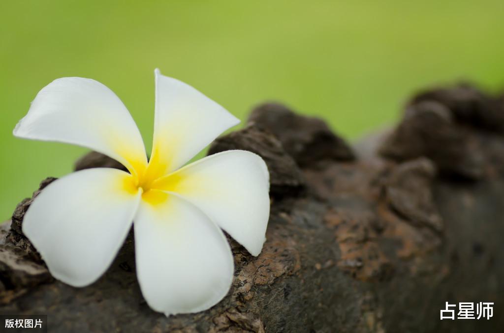 属马@(周运)苏珊米勒_5月4日至10日星座运势:生命荣光