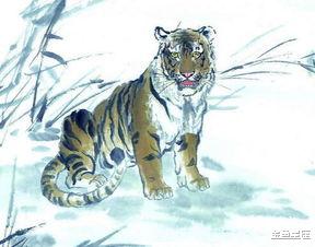 生肖|“越老越穷”的属虎人,自以为是,眼界狭窄,一事无成?