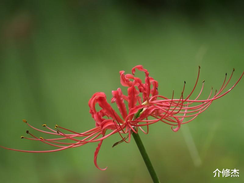 『生肖』7月底,旧情坚如磐石,情缘难舍难分,携手旧情再渡爱河的4大生肖