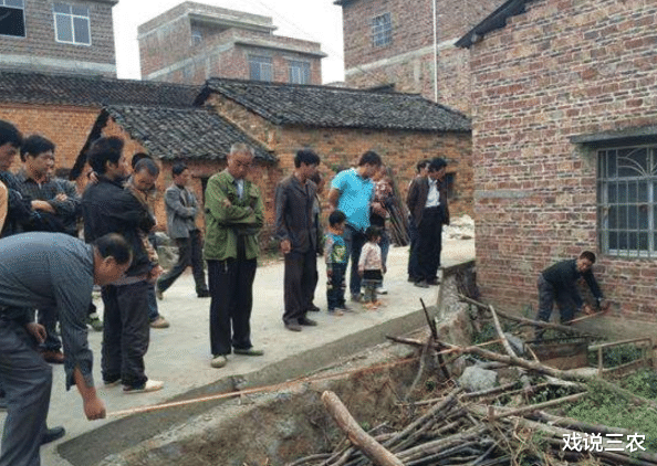 戏说三农|8月起，确权大提速！宅基地摸底+排查！4种情况或被强制收回？