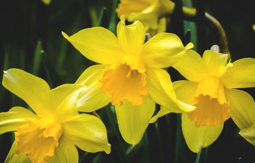 天秤座|11月初，桃花迎风来，爱情苏醒的4大星座，脱离孽缘，邂逅正缘