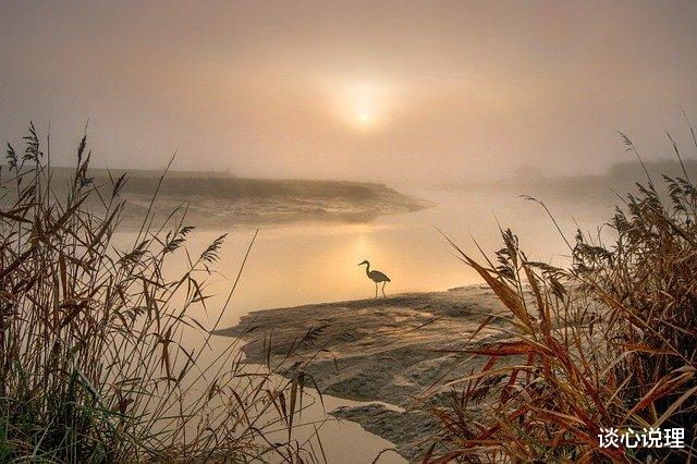 天蝎座|两周后，相思成疾，无药可医，3星座执着旧爱，携手此生不分离