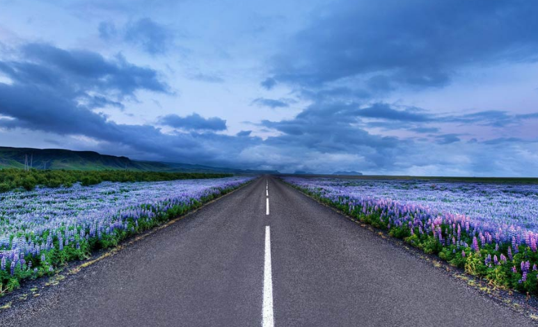 运势@实不相瞒：未来10天，3大属相金银满仓，前途光明，顺利大吉