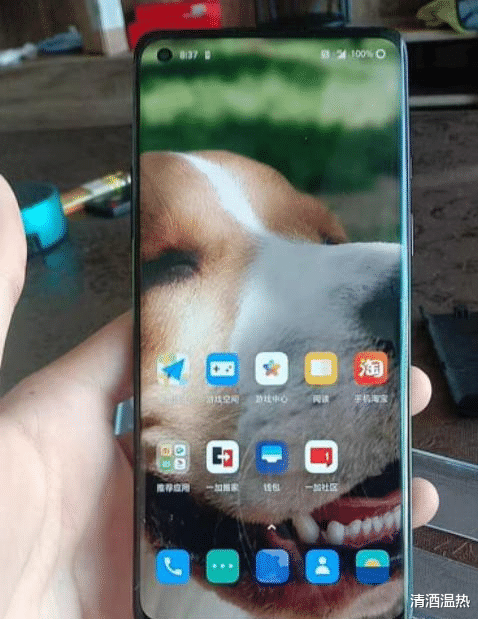 路由器|华为Mate30 5G和一加8应该如何选择。