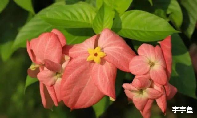 生肖|9月开始财运上佳，事业大顺，日子苦尽甘来的四大生肖