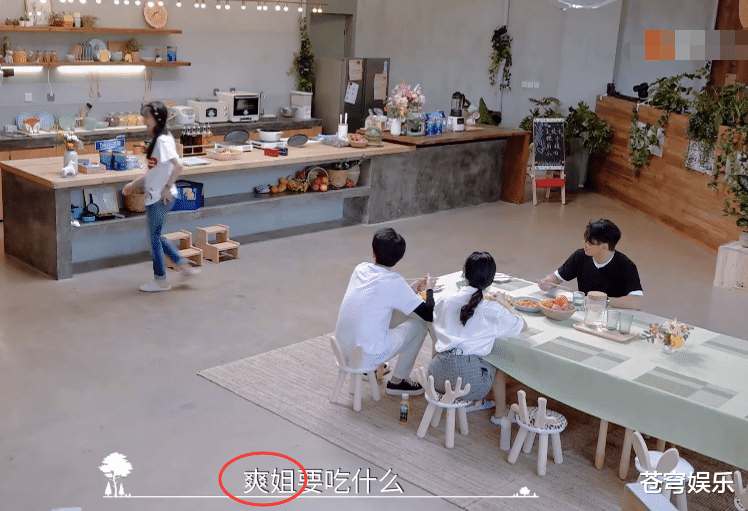 [郑爽]郑爽与3位明星录综艺，听清吴奇隆对她的称呼，我真以为听错了！