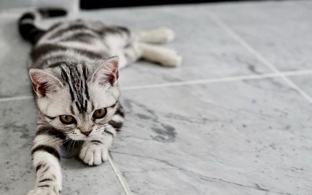 旧爱|九月份也是爱情月，这3个星座对旧爱念念不忘，有信心让前任回头