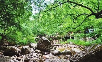 [天山]柞水 | 一个来了不想走，走了还想再来的地方