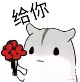 ▲有一个年轻老师是什么体验？这是我见过最可爱的一届