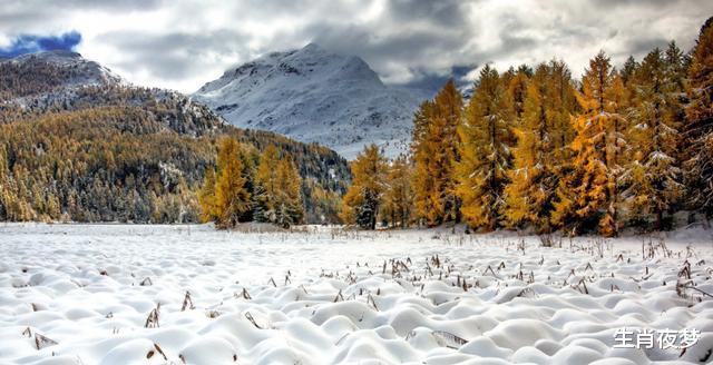 「生肖」5月，爱你无需证据，想你忘了时钟，3生肖爱意泛滥，整夜辗转反侧