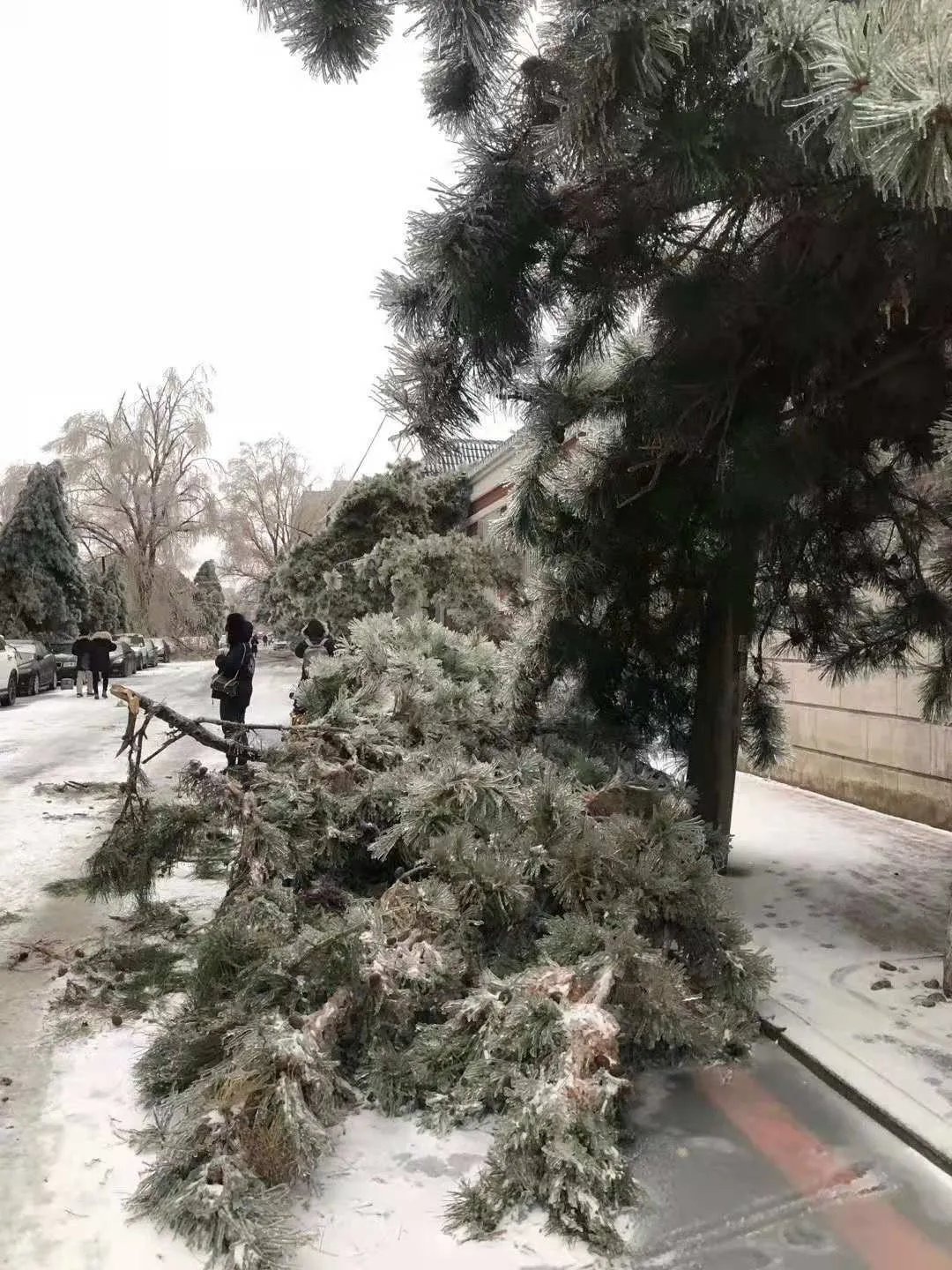 浙江省|全力抢修！停水、停电、停运……吉林省暴雪橙色预警！