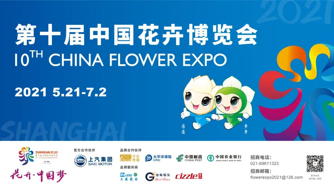 上海崇明|你接到过“95”开头的电话吗？小心，可能会让你倾家荡产…