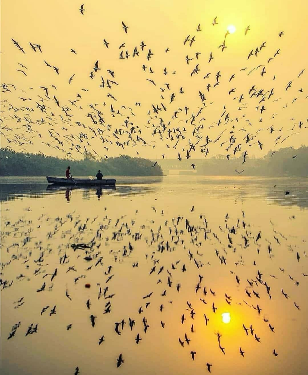 「塞尔维亚」五分钟告诉你塞尔维亚有多美！