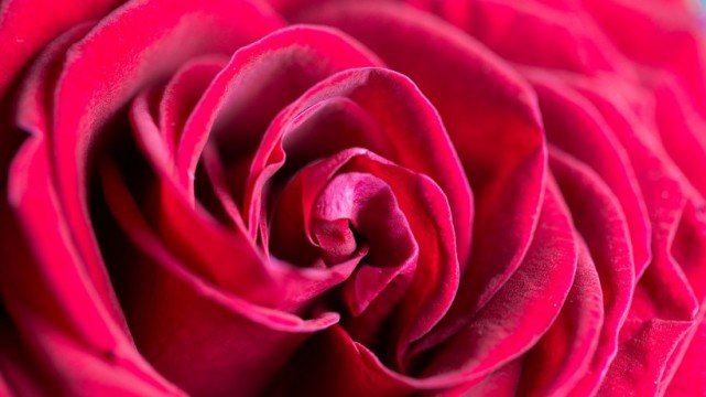 生肖▲未来一周，这四大生肖要脱单了！红娘做媒，巧遇今生良缘携手幸福