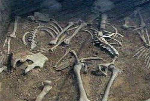 乾隆|乾隆死后多惨?尸骨泡臭水一月,头骨被石门压碎,溥仪:必报此仇