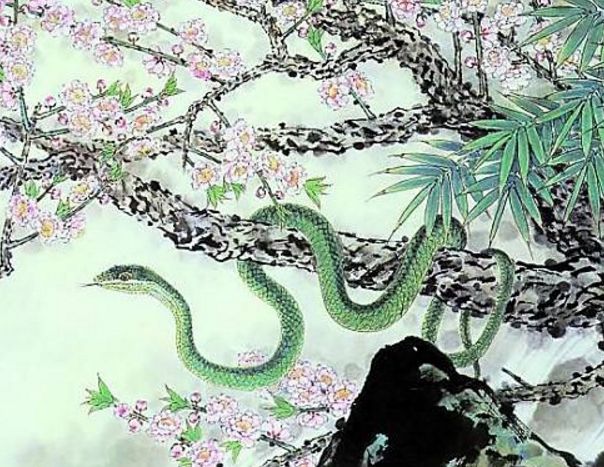 属蛇@大金蛇,3月开始,十蛇九顺,蛇大顺