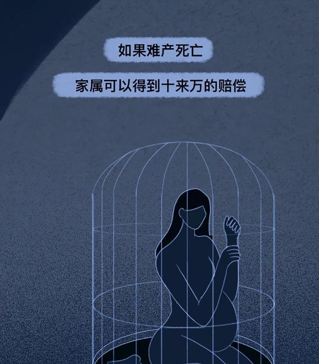 郑爽|为郑爽代孕的那个女子还好吗？