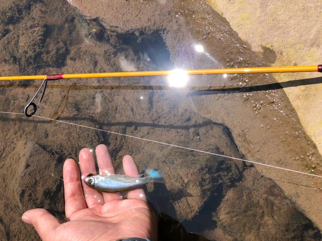 |一位职业钓手告诉你如何成为月薪过万，工作就是钓鱼的职业钓手？