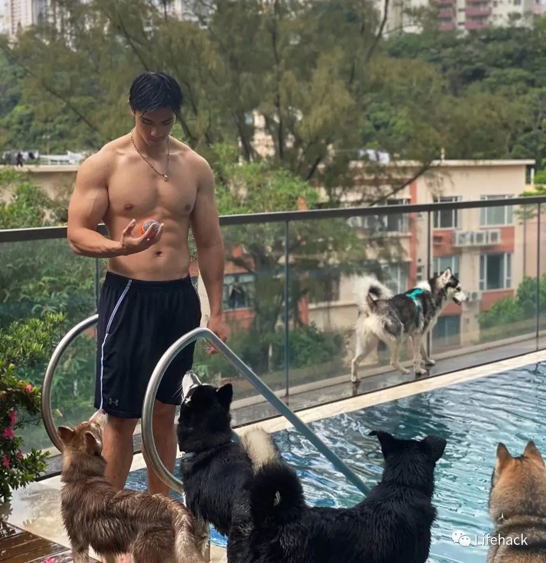 香港小姐|23岁港姐儿子引发舔屏，寸头肌肉简直不要太帅