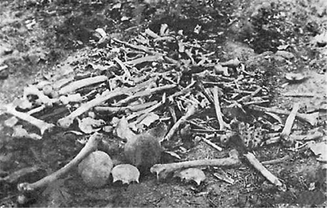 150萬亞美尼亞人被屠殺，還有人被作醫學實驗，專傢：第二個南京-圖4