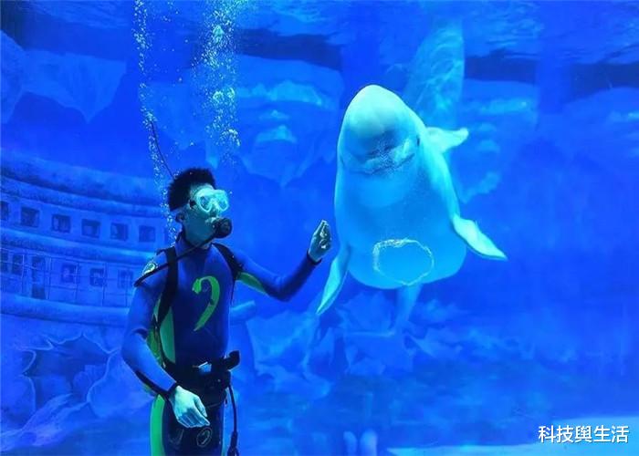 『科学家』海洋10926米深处，潜水员发现不干净的东西，科学家生气了！