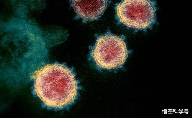 『美国』美国新冠状病毒比我们确诊的人还要多，但为何死亡人数却那么少？