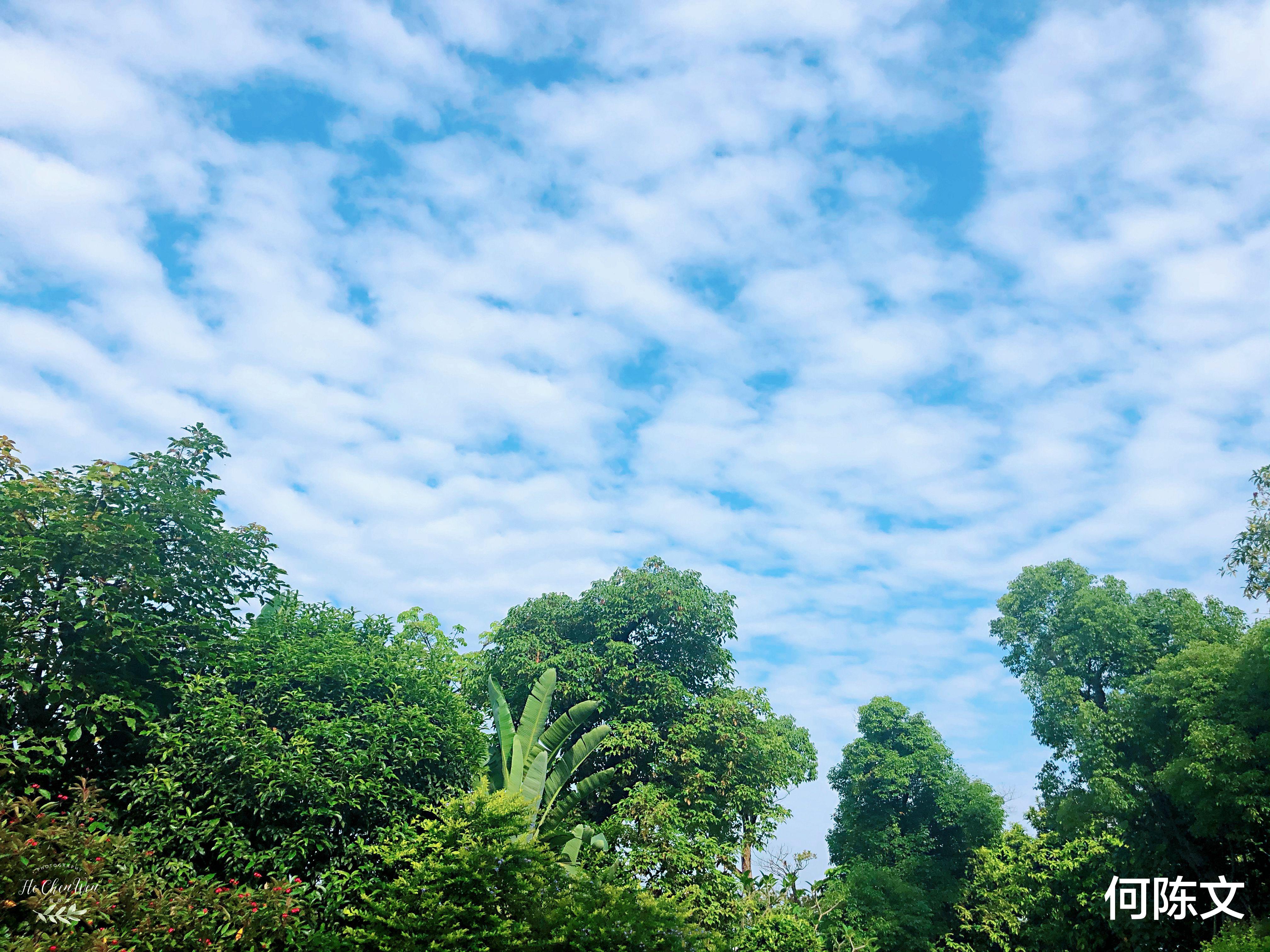 「闽江」闽江畔的这个地方,钓友都喜欢来钓鱼,而且每次都是收获满满