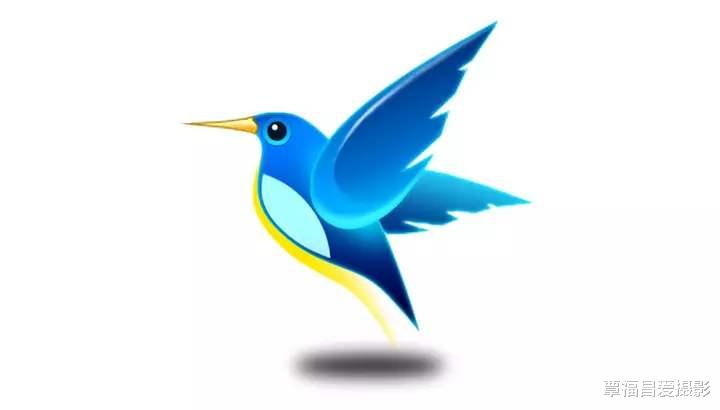 迅雷|曾经很火的迅雷，为什么现在不怎么火了？