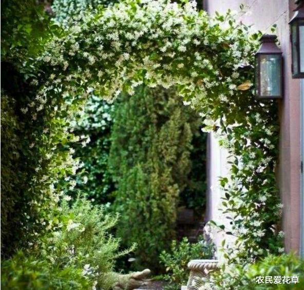 『』想让小院阳台美如“仙境”，需要“2个小技巧”，明眼人一看就会