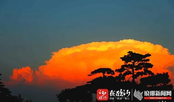 山东商报|果然!这朵刷爆临沂朋友圈的“蘑菇云”,并不简单…