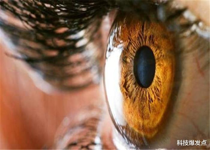 重见光明:世界首个3D人工眼球,比人眼更清晰,或能让数百万人重见光明!