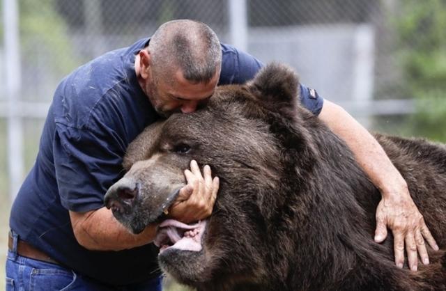 袋鼠|世界之最——动物之最（2）