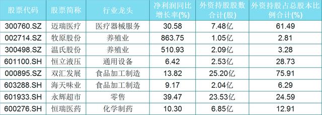 「海外资金」外资重仓！25只优质龙头，持股破亿！（名单）