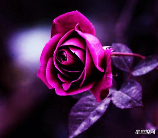 [运势]哪些月份出生的人，去年唉声叹气，今年喜不自胜，好事找上门