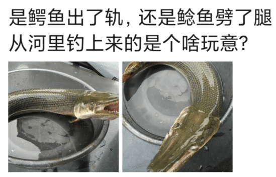 熊孩子|河边蹲一天, 最后就钓上来这个，哈哈哈究竟是个啥嘛，能不能吃啊？