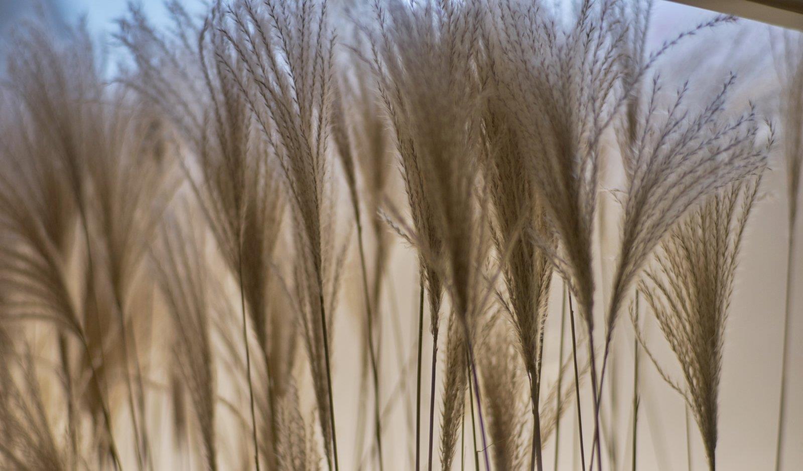 「」90后小哥,租了一套破房子,晒出改造后的效果,太美了