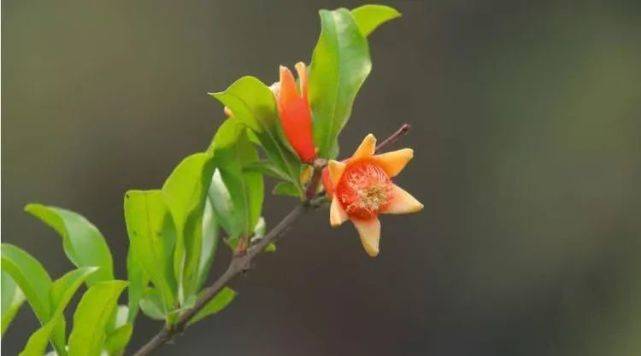 运势■7月开始运势走出低谷，财富高涨，苦海上岸的四大生肖