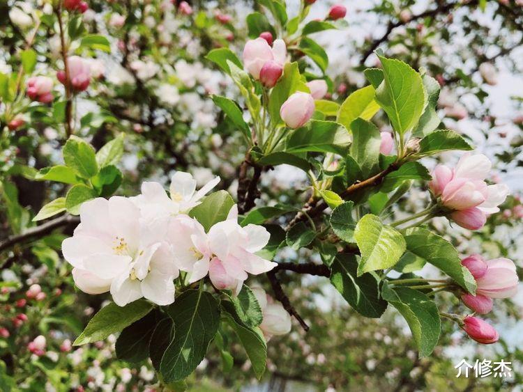 射手座|未来一个月，情意绵绵，姻缘大好，将与真爱共结连理的四大星座！