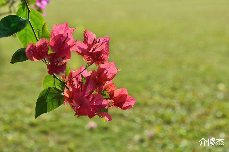 运势|10月份，缘从天降，双喜临门，桃花缠身，有望遇见真爱的4大星座