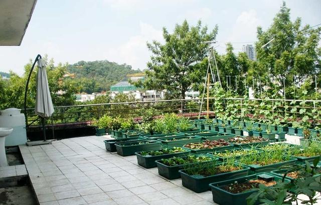 「」如果我家也有这样的露台,我还能再宅个10多天!