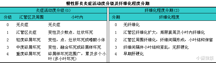 「南瓜」乙肝恩替卡韦研究实验,44.1%肝纤维化逆转,纤维化评分下降超1