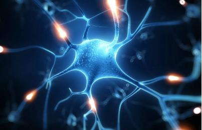 神经元：安静时： 我们大脑里听到的“嘤”声到底是什么？