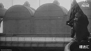 「仙人掌」达尔文奖获奖者：因为非常愚蠢的行为而死亡的5个人