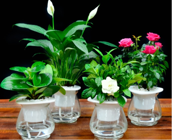 别怪我没提醒你：这些家居物品含醛量超标，赶快清理！